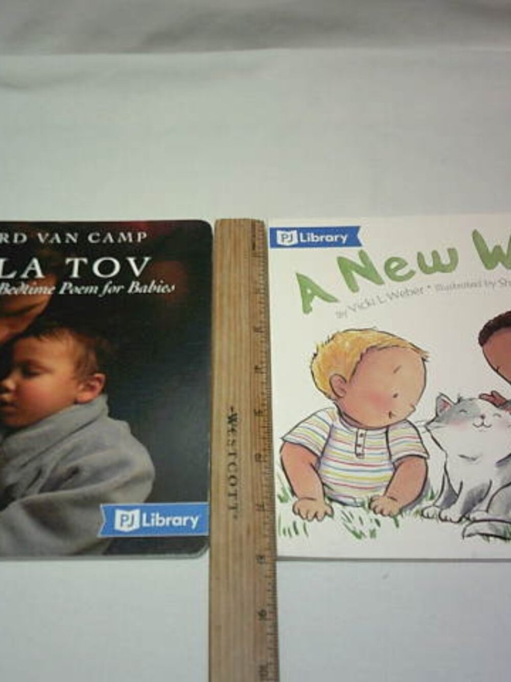 LOT 2 KIDS BOARD BOOKS PJ LIBRARY JEWISH COMMUNITY "A NEW WEEK" & "LAILA TOV" 📘